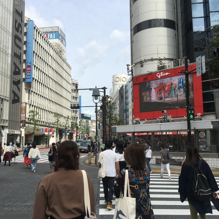 JCT渋谷ルート2