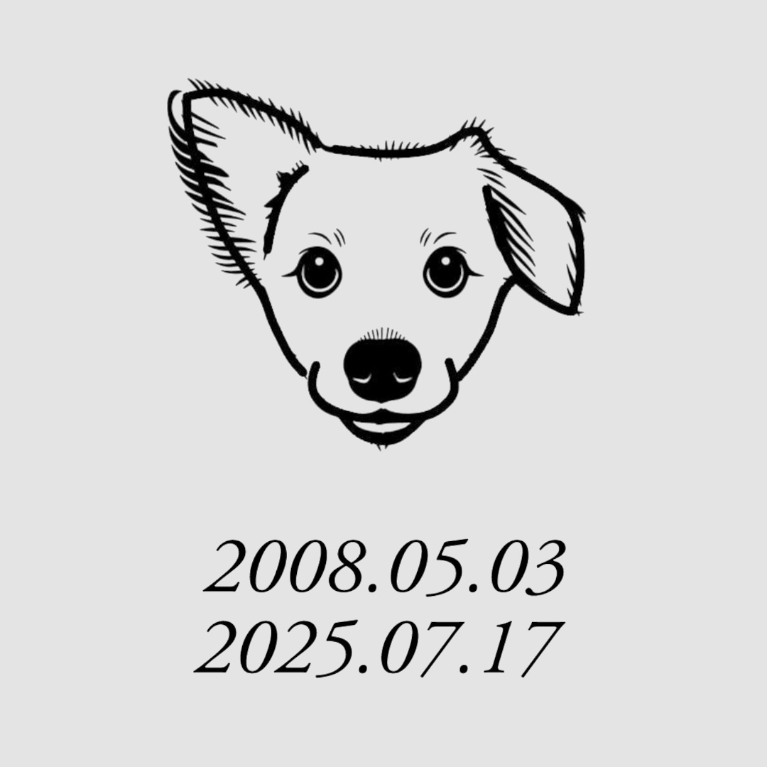 写真のイラスト化画像3